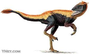 霸王龙祖先长有羽毛证实恐龙和鸟类同一祖先_科学探索_科技时代_新浪网