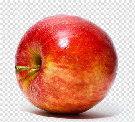 Image result for JavaScript Video Aula