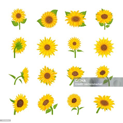 Pack Of Flat Sunflower Vectors Stock Illustration - Download Image Now ...