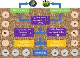Image result for Sludge Filter