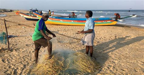 The Indian government is starting to regulate its fishing industry with ...