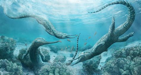 Prehistoric Sea Animals