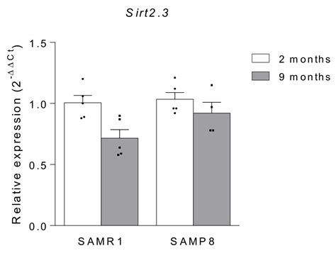 Understanding the Potential Role of Sirtuin 2 on Aging: Consequences of ...