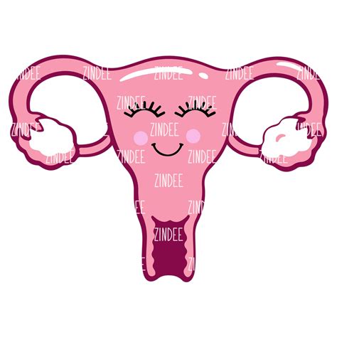 uterus clipart #3968557 | Clipart Library