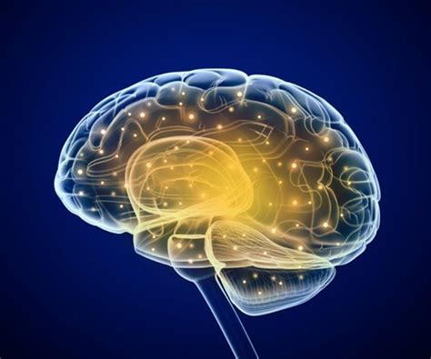 How Repeated Head Blows Affect the Brain | Newsmax.com