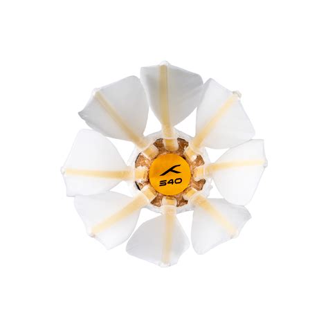 Hundred S40 Feather Shuttlecock – Hundred India
