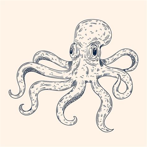 Octopus line art Images - Free Download on Freepik