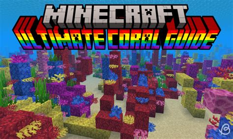 Image result for Coral Farm Minecraft Java