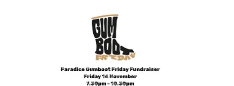 Gumboot Friday Fundraiser Paradice Avondale, Paradice Ice Rink Avondale ...