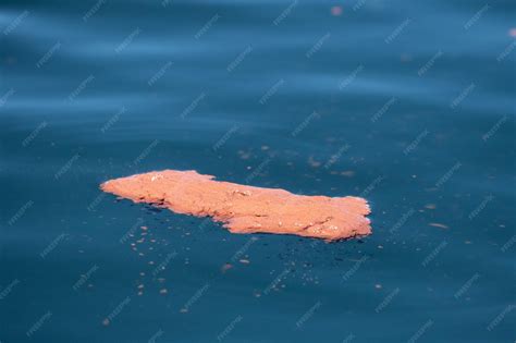 Premium Photo | Blue whale red feces krill excrement
