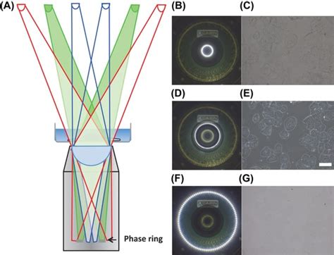 Image result for Phase Ring Alignment