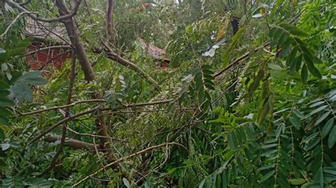 Very Severe Cyclone Yaas Has Lowest Wind Speed Since 1999, Monsoon ...