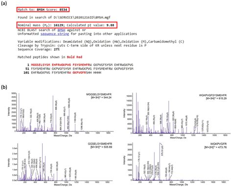 Construction of a Tandem Repeat Peptide Sequence with Pepsin Cutting ...