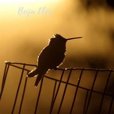 hummingbird bakery hummingbird cake recipe