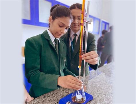 Daisy Days International School