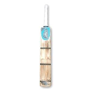 Beast Cricket Bat, Kashmiri Willow, 900g, Tennis Ball Special : Amazon ...