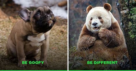 Live In The 'Now' & Learn To Laugh More - 11 Important Life Lessons ...