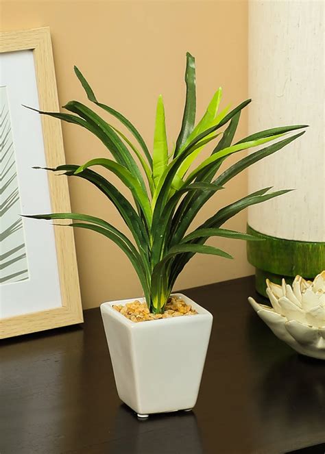 Get Artificial Green Dracaena Bonsai with White Ceramic Pot at ₹ 731 ...