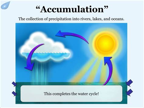 PPT - The Water Cycle PowerPoint Presentation, free download - ID:311235