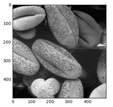Image result for Pyplot Error Shade