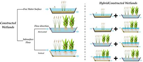 Treatment Wetlands in Mexico for Control of Wastewater Contaminants: A ...