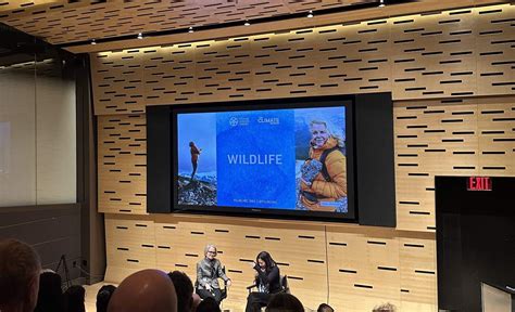 Wild Nature 的图像结果