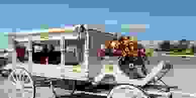 Obituaries | Peavy Funeral Home