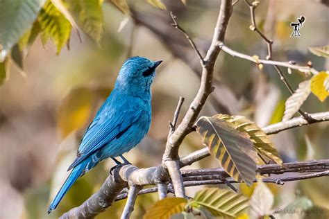 Nature-o-graphy with Uday