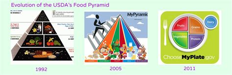 Food Groups and Serving Sizes: My Plate Recommendations - Healthy Belly