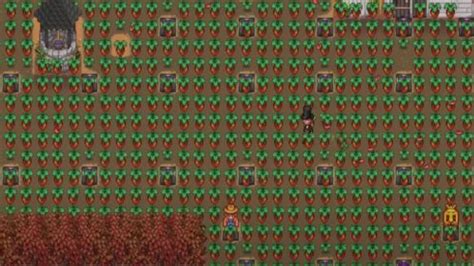 How to get Sweet Gem Berries in Stardew Valley - Gamepur