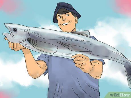 Image result for How to Basic Fish