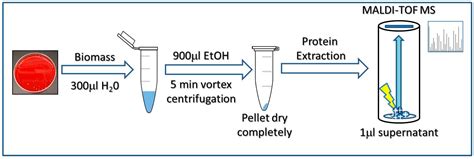 Implementation of MALDI-TOF Mass Spectrometry and Peak Analysis ...