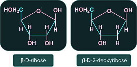 in : Definition, Types and Importance | AESL