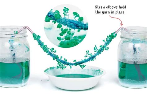 Image result for Science Craft Activity