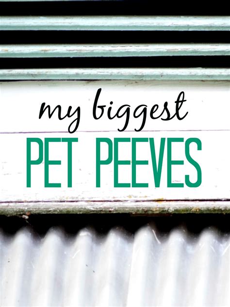 5 Of My Biggest Pet Peeves - The Nerdy Me