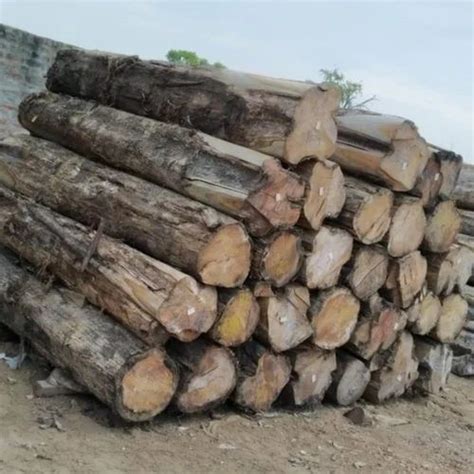 Teak Wood Logs - Burma Teak Wood Trader - Retailer from Bengaluru
