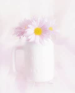 Hadley House Daisies in White Vase by Hal Halli Wall Art, 18 x 24 ...