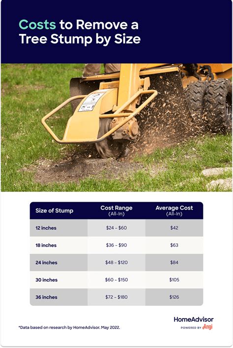 How Much Does Stump Grinding Cost?