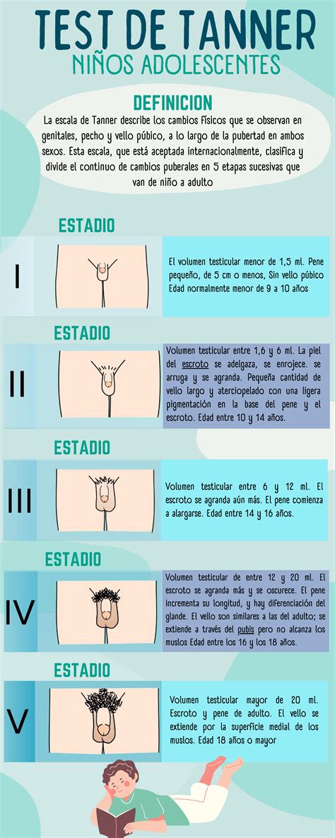 Escala de Tanner en Niños y Adolescentes: Definición y Etapas - Studocu