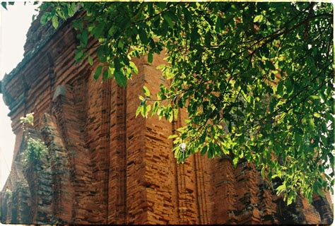 Brainrot+Pictures Photos, Download The BEST Free Brainrot+Pictures ...