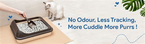 Buy Goofy Tails Premium Activated Charcoal White Bentonite Clumping Cat ...
