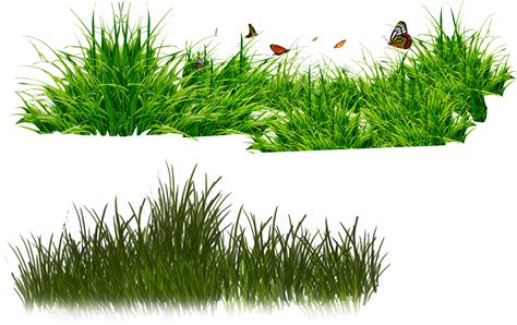 Free Free Grass Cliparts, Download Free Free Grass Cliparts png images ...
