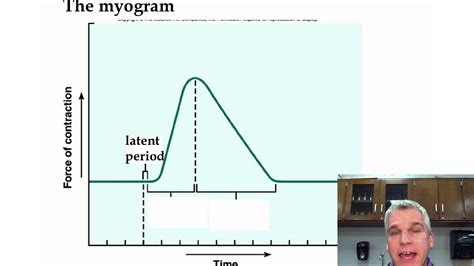 Image result for Myogram