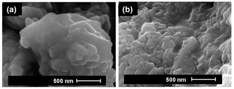 Starch-Based Pickering Emulsions for Bioactive Compound Encapsulation ...