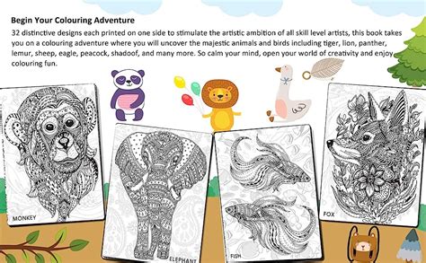 Buy Animals & Birds - Creative Doodle Colouring Book For Beginners And ...