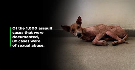 In Past 10 Yrs India Saw Nearly 5 Lakh Cases Of Animal Cruelty ...