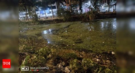 Ultadanga Canal - Times of India