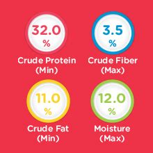 Purina Friskies Kitten Discoveries from Nestlé, 400 g : Amazon.in: Pet ...