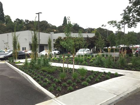 MALETIS BEVERAGE — DELA STUDIO