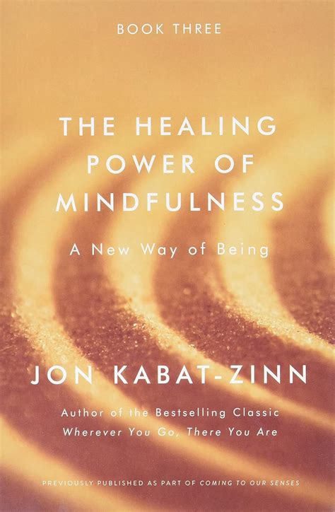 THE HEALING POWER OF MINDFULNESS : Kabat-Zinn, Jon: Amazon.in: Books